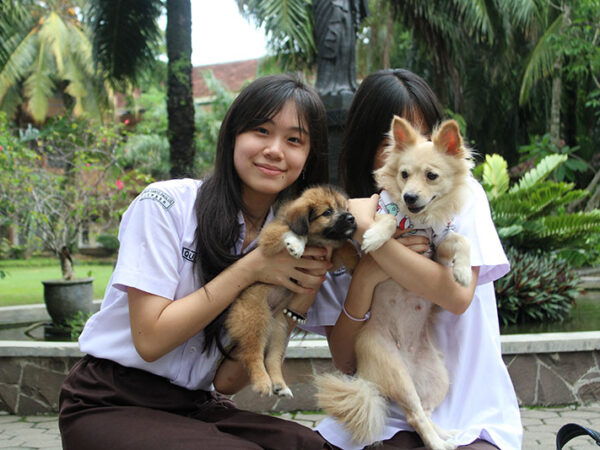 Ada Hewan Ikut Belajar ke Sekolah? This is Pet Day