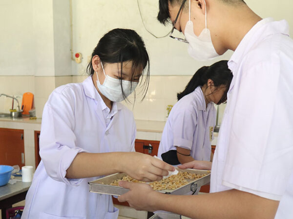 Menerapkan Pemanfaatan Bakteri dalam Makanan