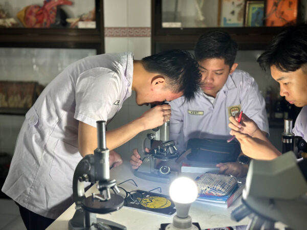 Menyelami Dunia Sel Tumbuhan dan Sel Animalia