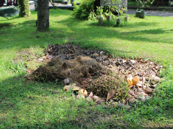 Cara Antimainstream dalam Mengolah Sampah Organik