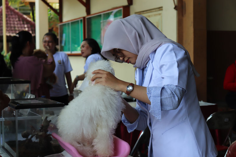 Cek Kesehatan Anabul