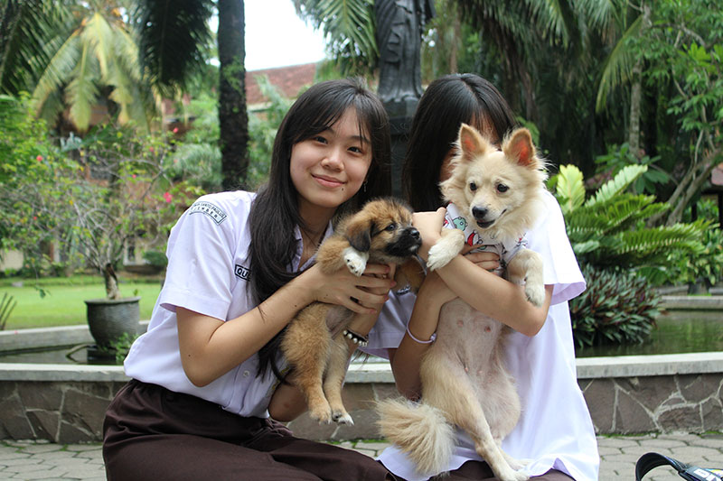Ada Hewan Ikut Belajar ke Sekolah? This is Pet Day