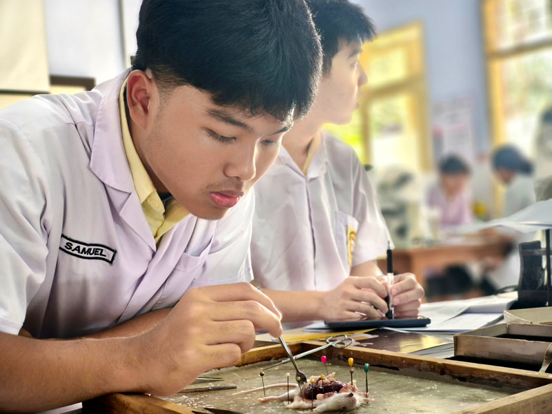 BEDAH TIKUS PUTIH DI LABORATORIUM BEDAH TIKUS PUTIH DI LABORATORIUM